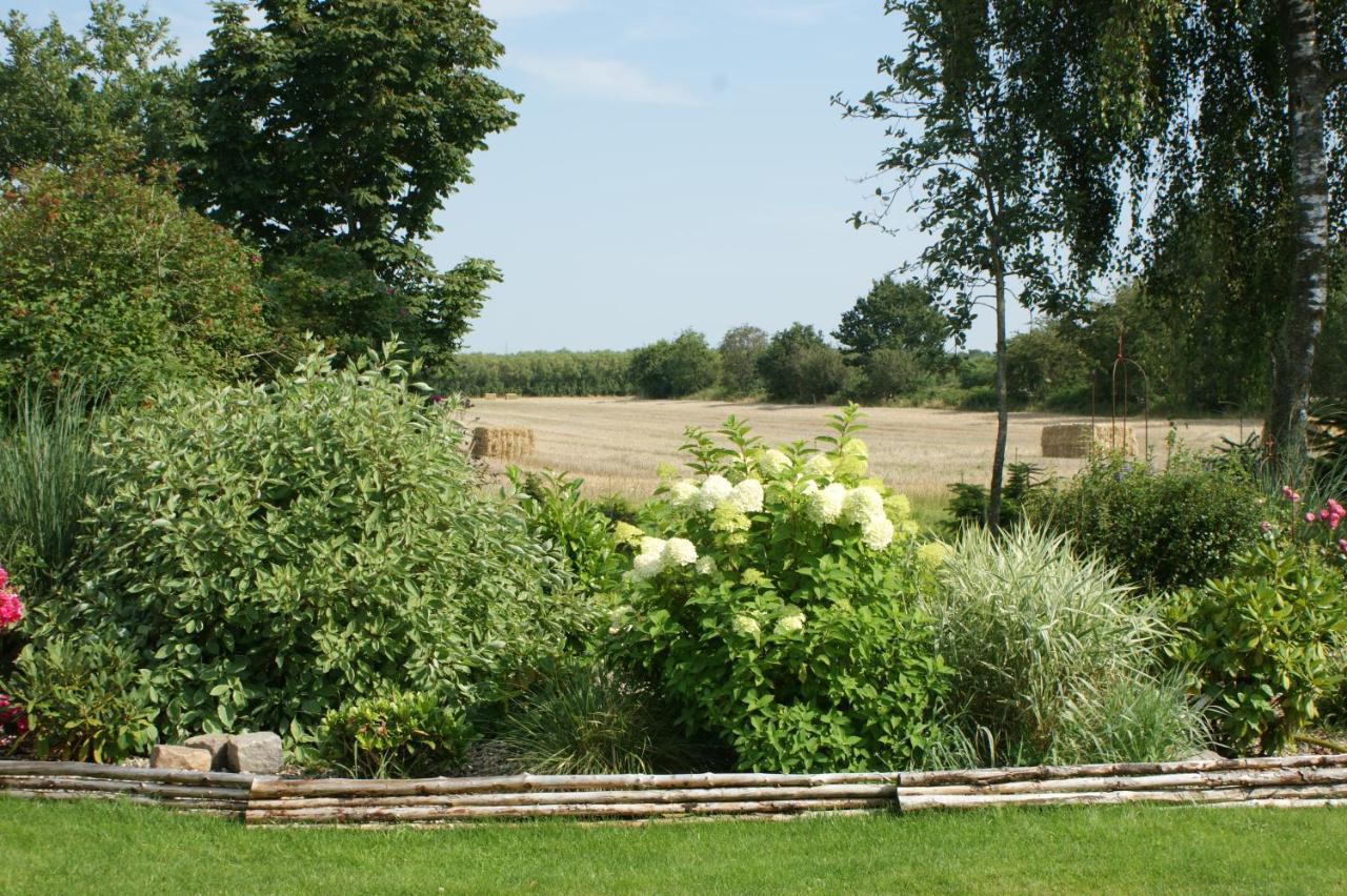 Lustrup Farmhouse Ribe Exteriér fotografie