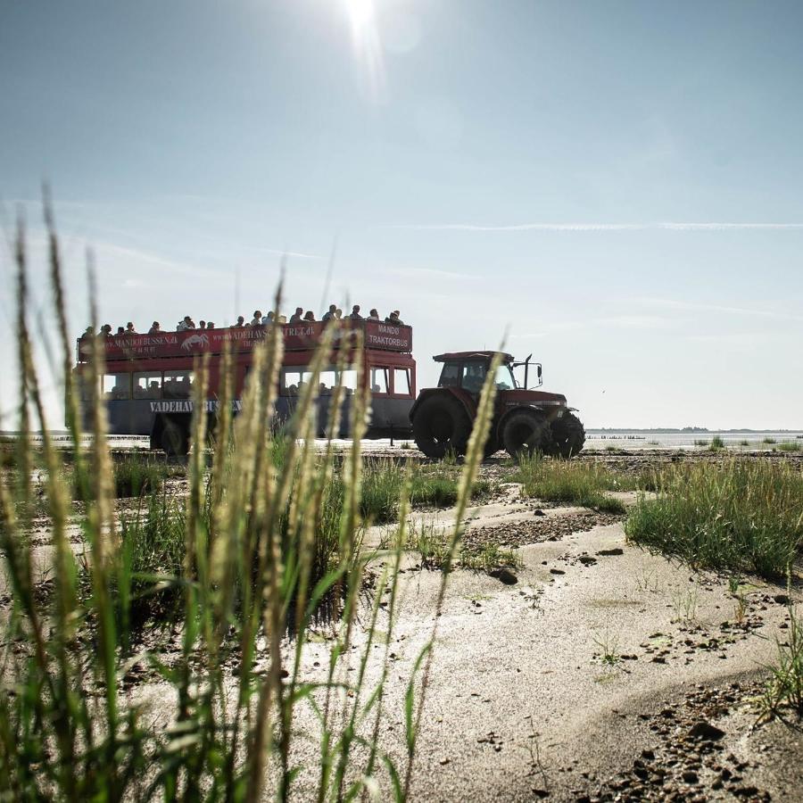 Lustrup Farmhouse Ribe Exteriér fotografie